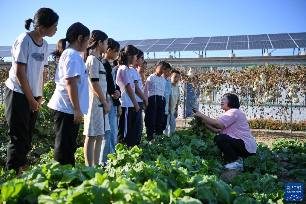 天游账户登录